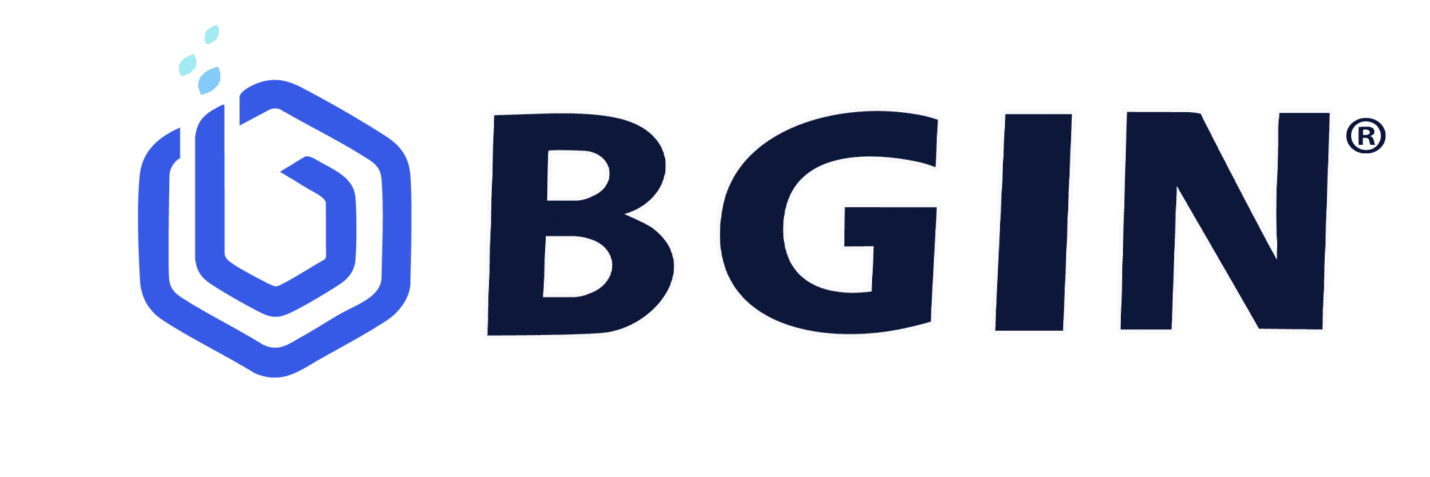 BGIN logo